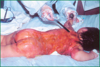 bte·365(中国)体育在线官网