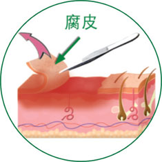 bte·365(中国)体育在线官网