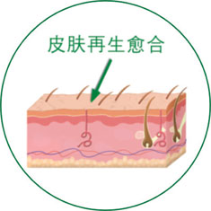 bte·365(中国)体育在线官网