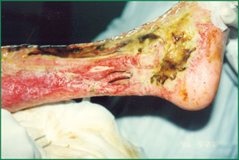 bte·365(中国)体育在线官网