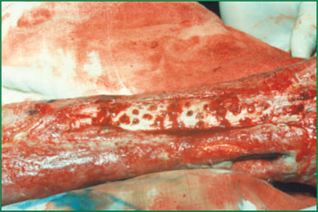 bte·365(中国)体育在线官网