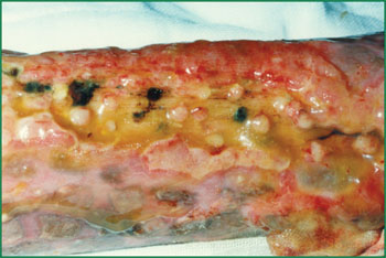 bte·365(中国)体育在线官网