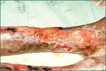 bte·365(中国)体育在线官网