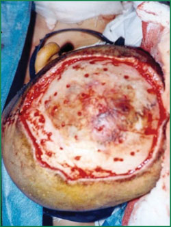 bte·365(中国)体育在线官网