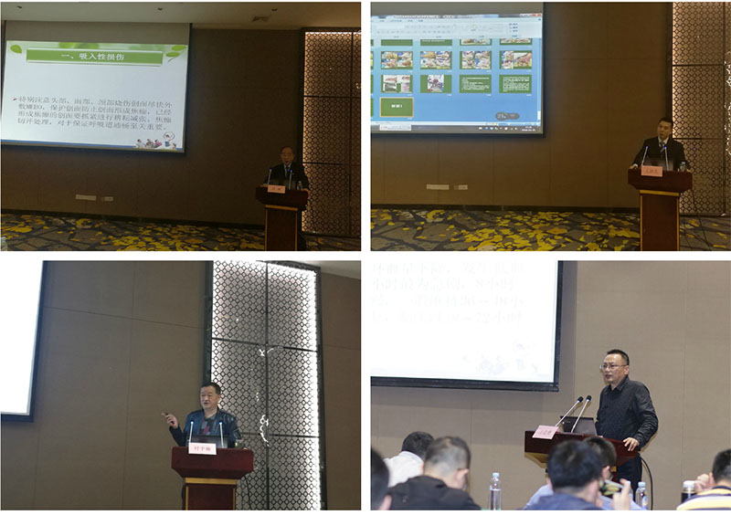 bte·365(中国)体育在线官网