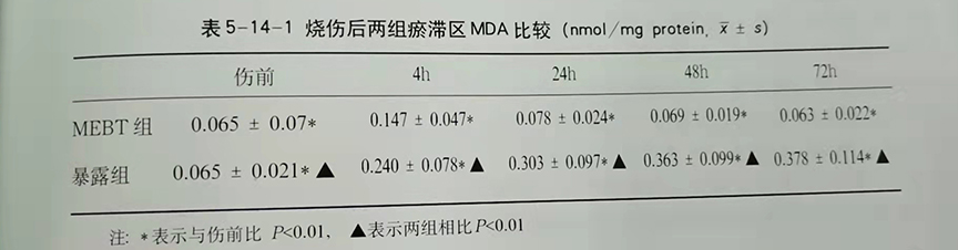 bte·365(中国)体育在线官网