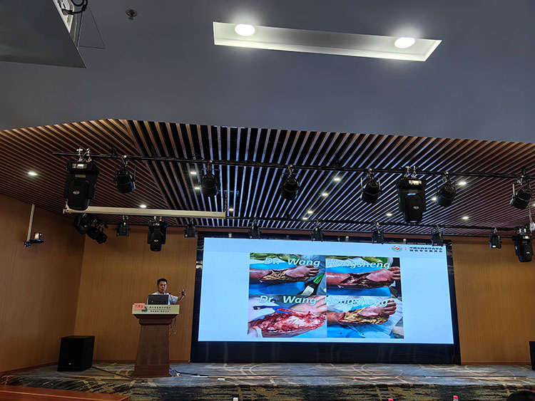 bte·365(中国)体育在线官网