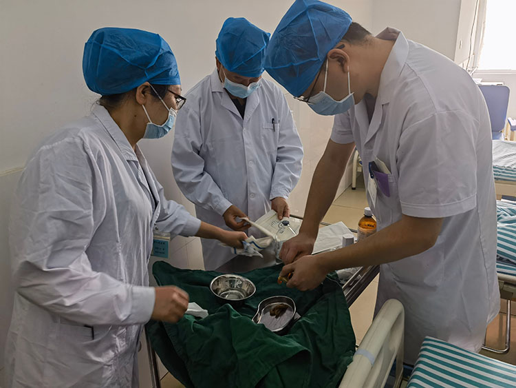 bte·365(中国)体育在线官网