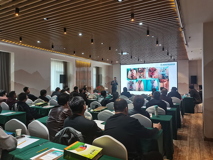 bte·365(中国)体育在线官网