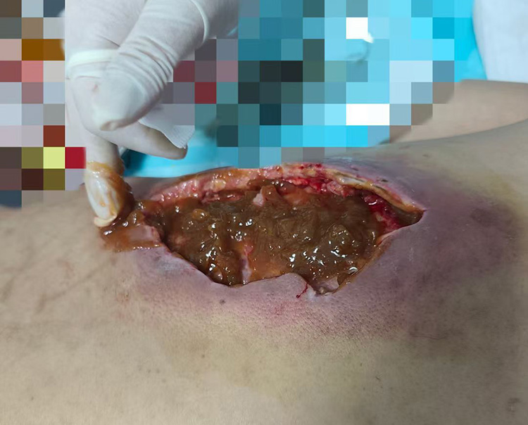 bte·365(中国)体育在线官网