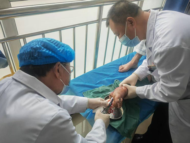 bte·365(中国)体育在线官网