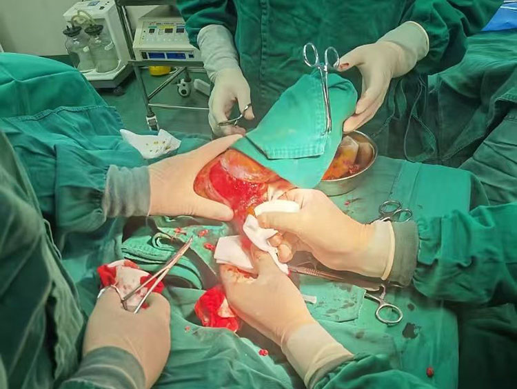 bte·365(中国)体育在线官网