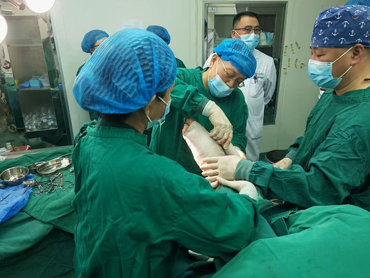 bte·365(中国)体育在线官网