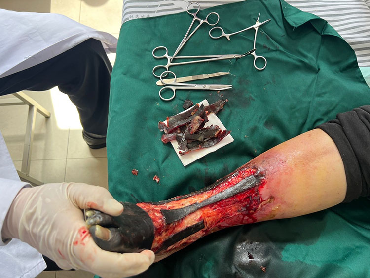 bte·365(中国)体育在线官网