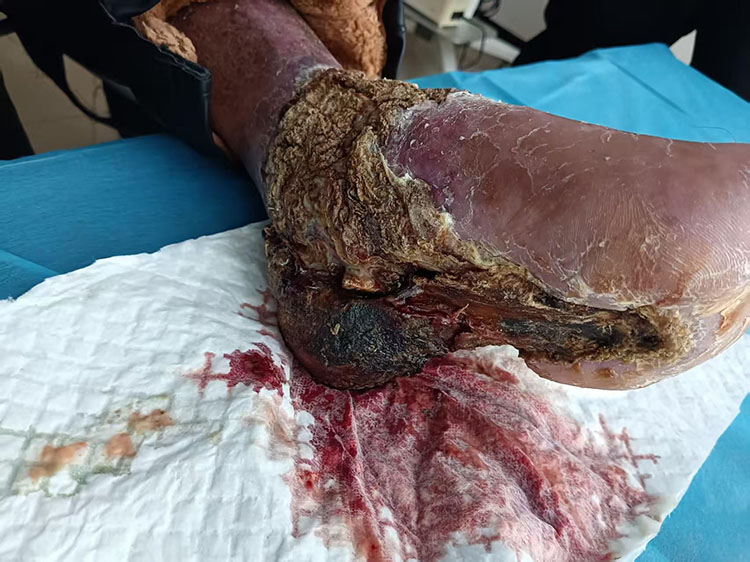 bte·365(中国)体育在线官网