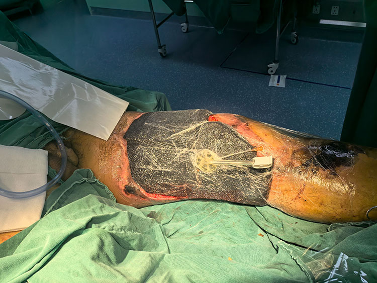 bte·365(中国)体育在线官网