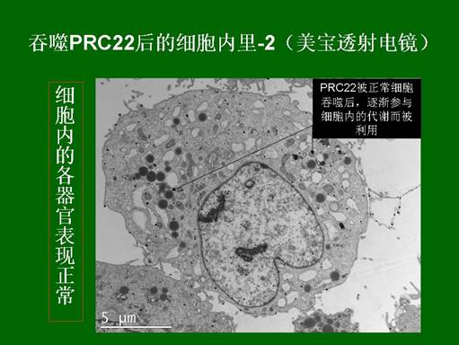 bte·365(中国)体育在线官网
