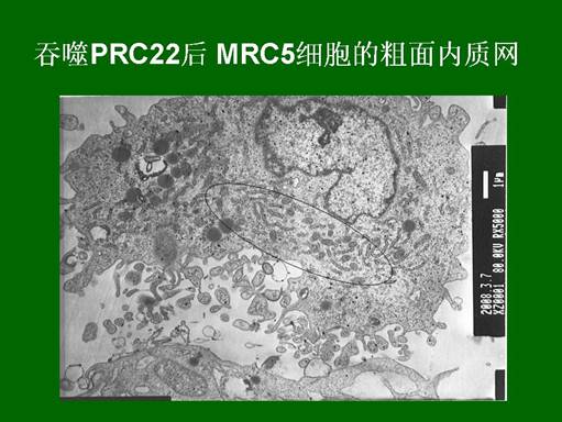 bte·365(中国)体育在线官网
