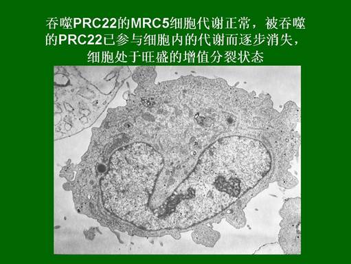 bte·365(中国)体育在线官网