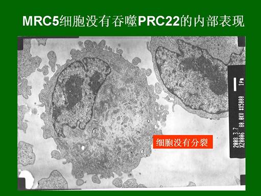 bte·365(中国)体育在线官网