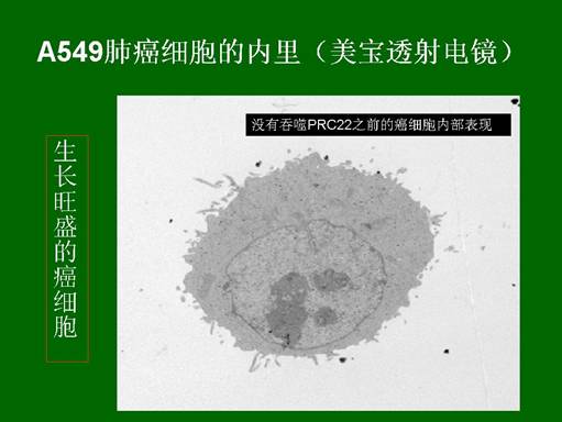 bte·365(中国)体育在线官网