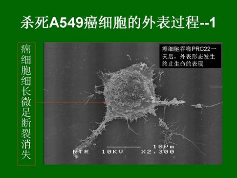 bte·365(中国)体育在线官网