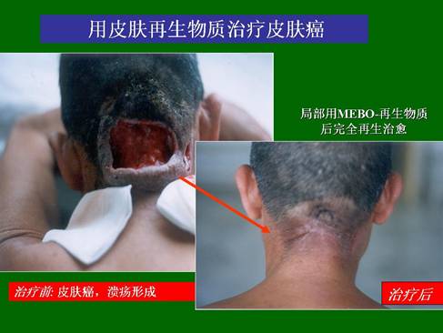 bte·365(中国)体育在线官网