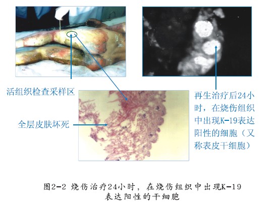 bte·365(中国)体育在线官网