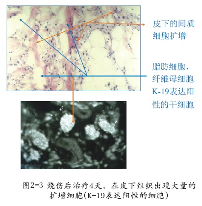 bte·365(中国)体育在线官网