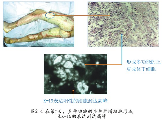 bte·365(中国)体育在线官网