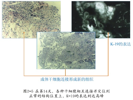 bte·365(中国)体育在线官网