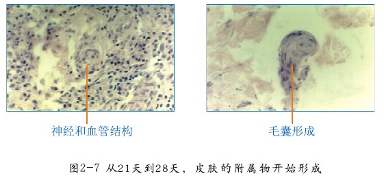bte·365(中国)体育在线官网