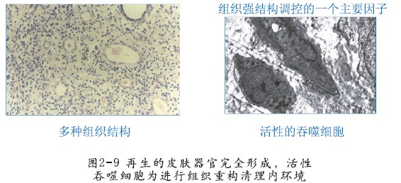 bte·365(中国)体育在线官网