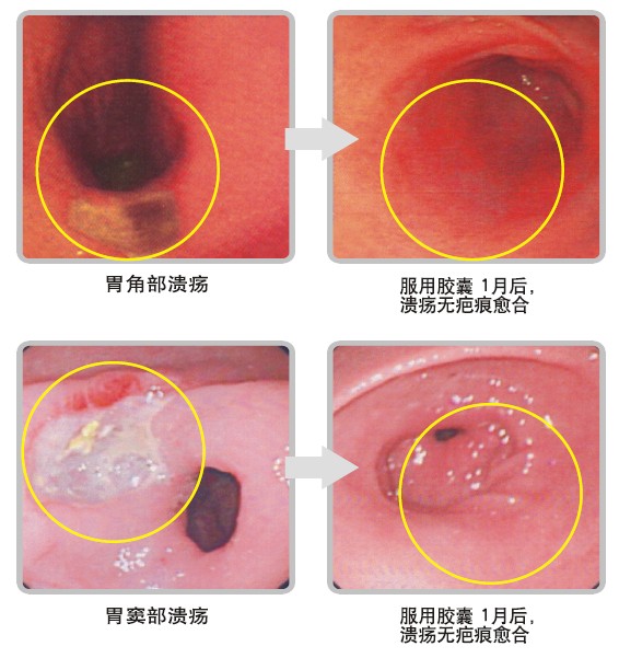 bte·365(中国)体育在线官网