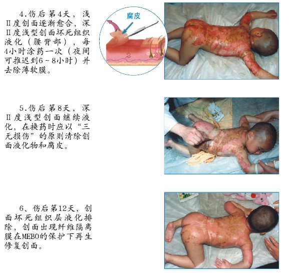 bte·365(中国)体育在线官网