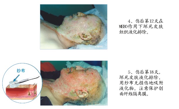 bte·365(中国)体育在线官网