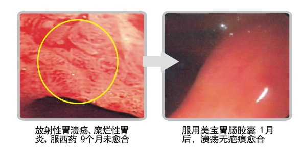 bte·365(中国)体育在线官网
