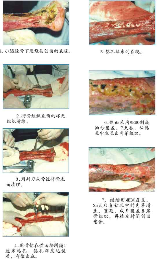 bte·365(中国)体育在线官网