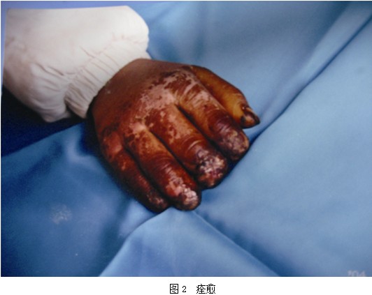 bte·365(中国)体育在线官网