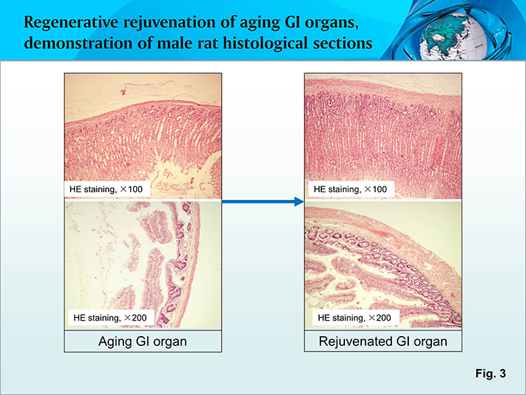 bte·365(中国)体育在线官网