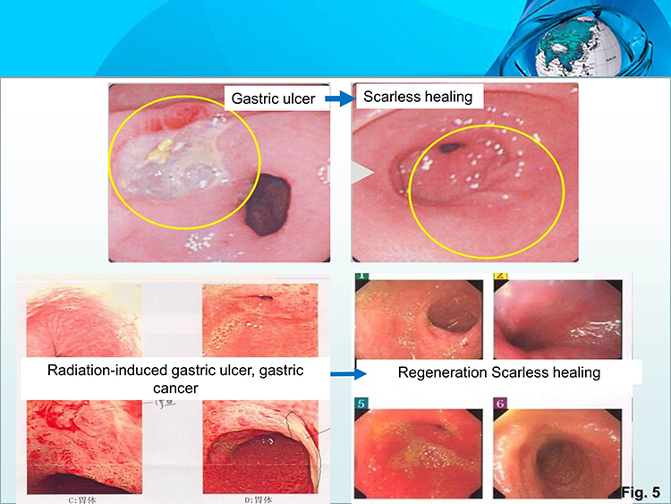 bte·365(中国)体育在线官网