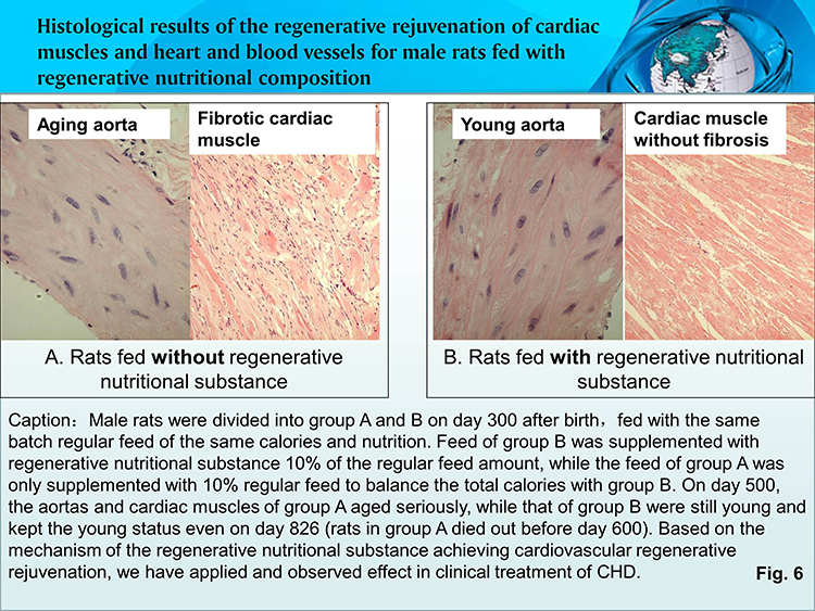 bte·365(中国)体育在线官网