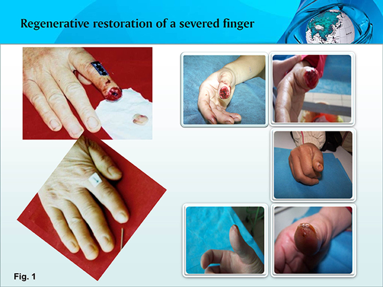 bte·365(中国)体育在线官网