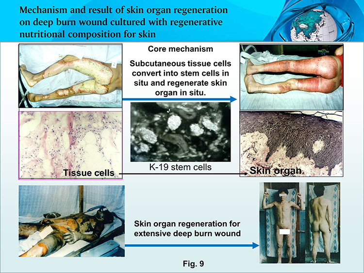 bte·365(中国)体育在线官网