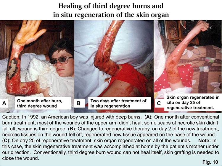 bte·365(中国)体育在线官网