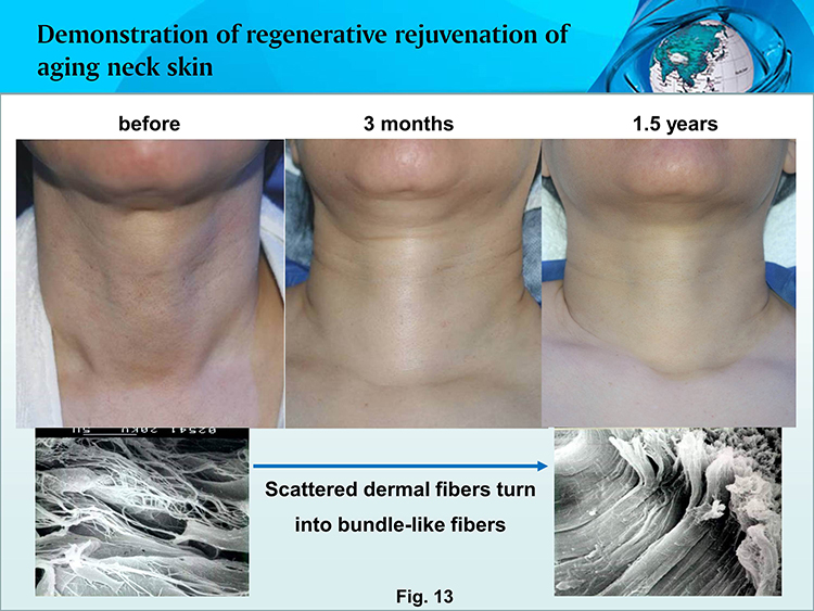 bte·365(中国)体育在线官网