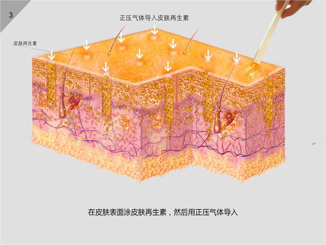 bte·365(中国)体育在线官网