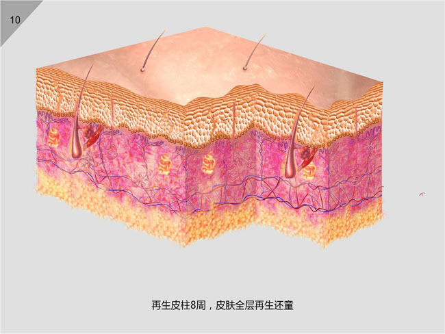 bte·365(中国)体育在线官网