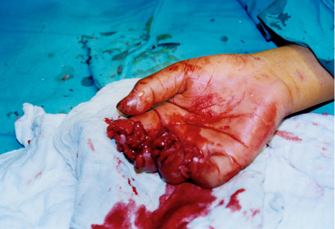 bte·365(中国)体育在线官网