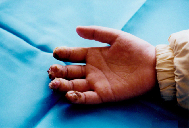 bte·365(中国)体育在线官网